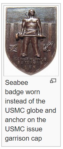 seabeebadge